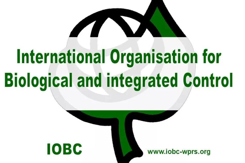 IOBC
