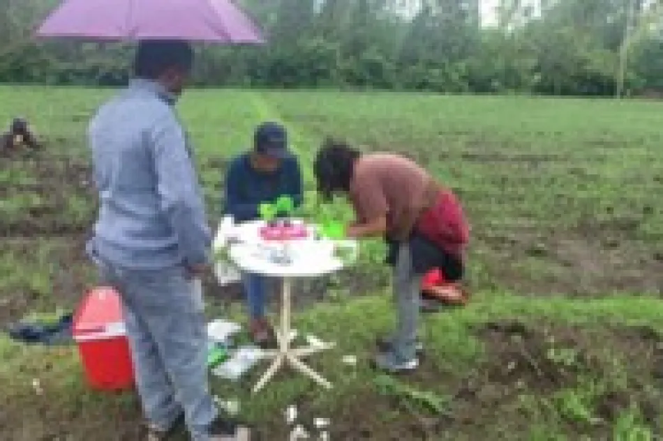 Sampling in the field 