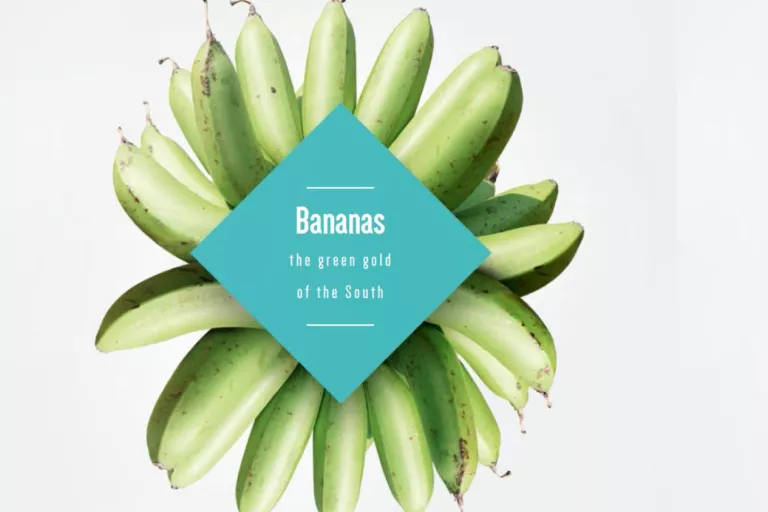 Bananas in Africa