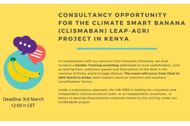 consultancy