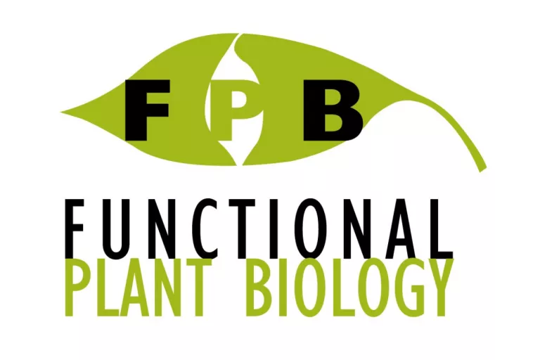 FPB