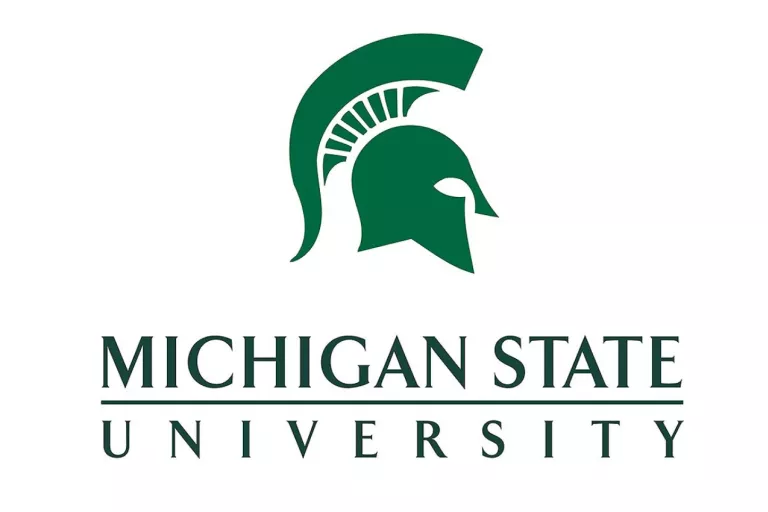 MSU