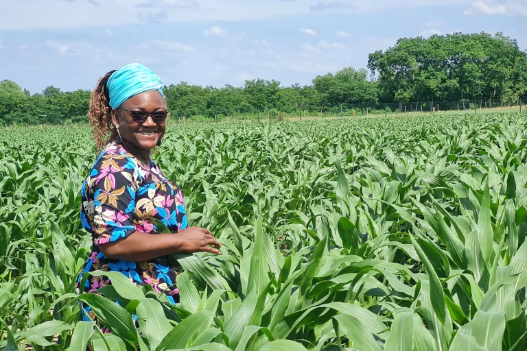 Zara Soutonnoma Nikiema ( Burkina Faso ). An alumnus of the maize breeding program