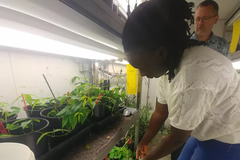 Adeola in the lab