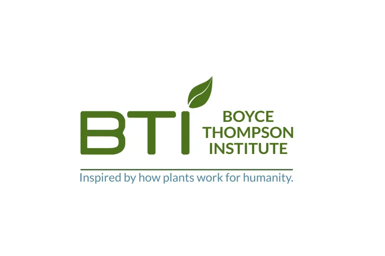 BTI