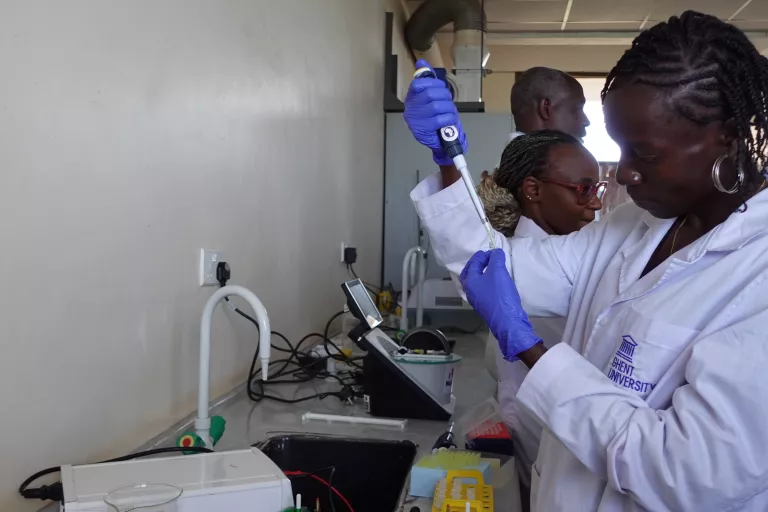 Cecilia pipetting