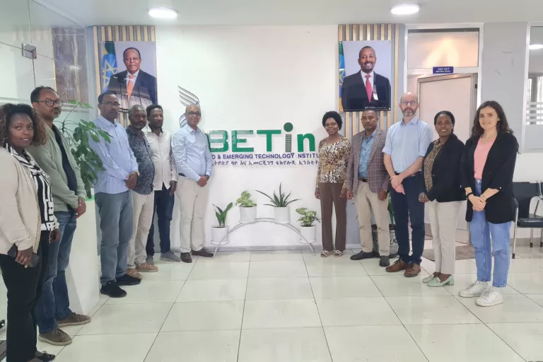 Implementation team