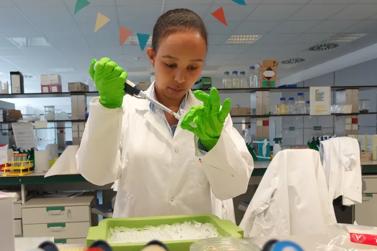 Hawi in the lab