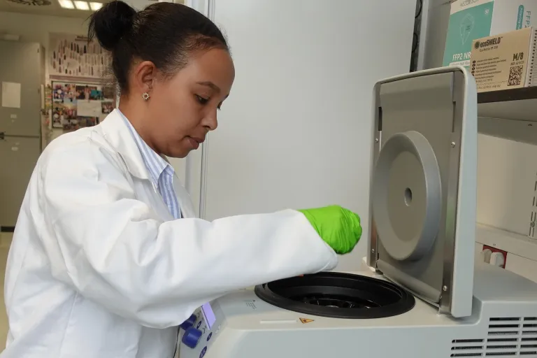 Hawi in the lab