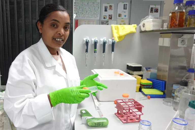 Nuhamin in the lab