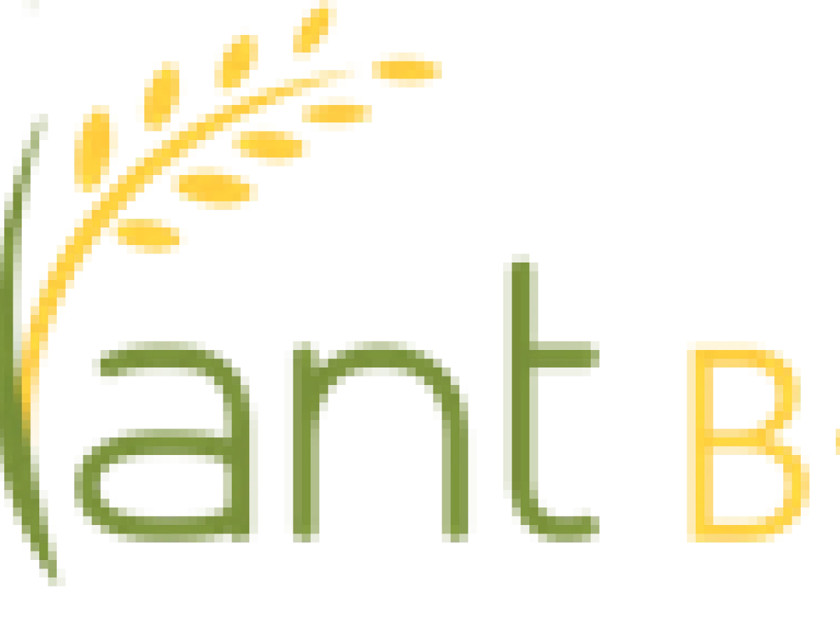 Plant B+B Network