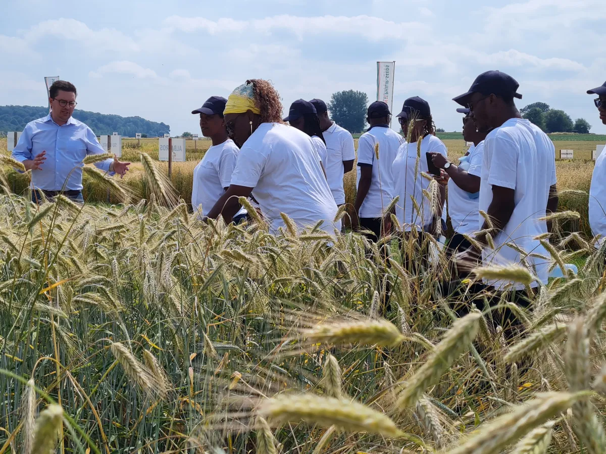 Field visit to JPS seed company, Belgium