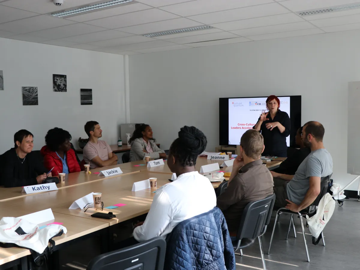 Workshop: Cross-Cultural Competence for Leaders
