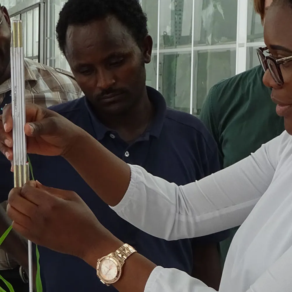 PLANT BREEDING AND BIOTECHNOLOGY