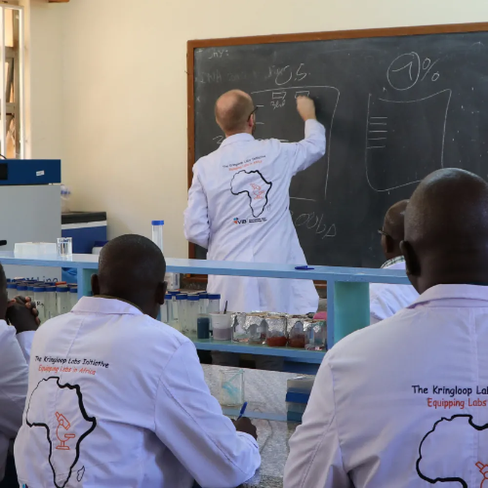 Lab practical, Kringloop labs